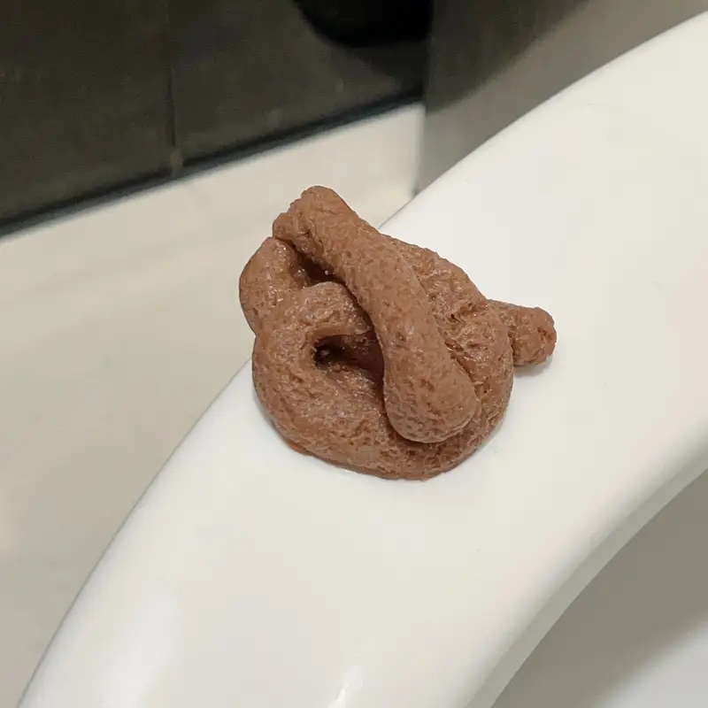 リアルな浮遊する偽うんちいたずらおもちゃ、パーティー用の面白 - Fake Poop Gag Gift のレビューと価格